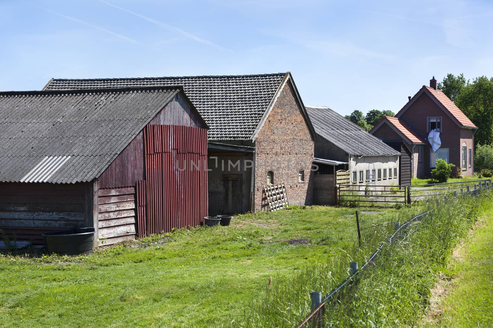 Farm and barns in a row in Buren in the Netherlands