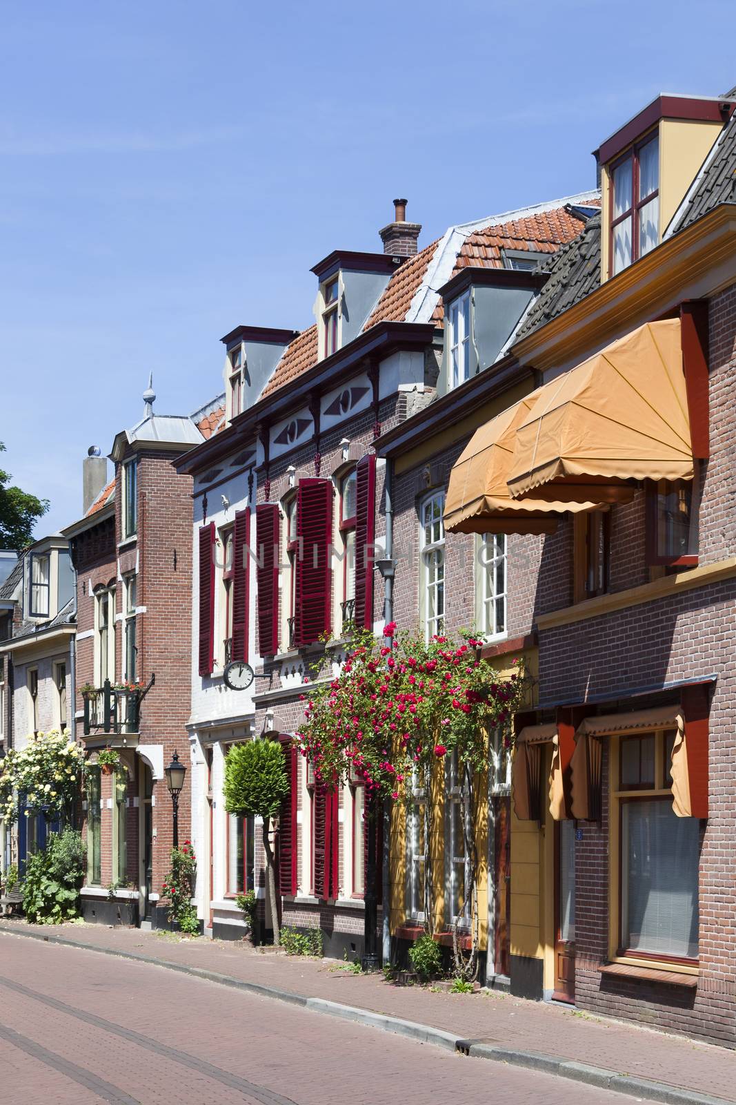 Cozy vintage street with roses in Culemborg in the Netherlands