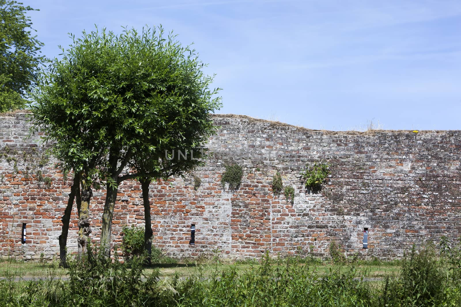 Old city wall of Culemborg in the Netherlands