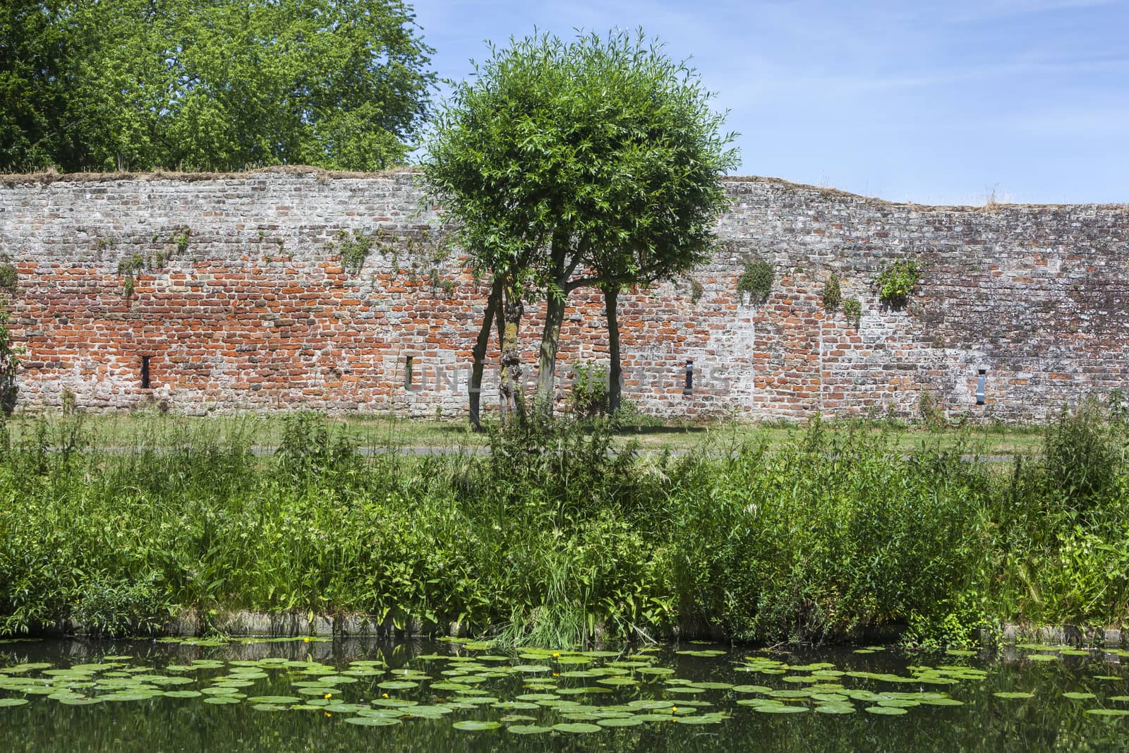 Old city wall of Culemborg in the Netherlands
