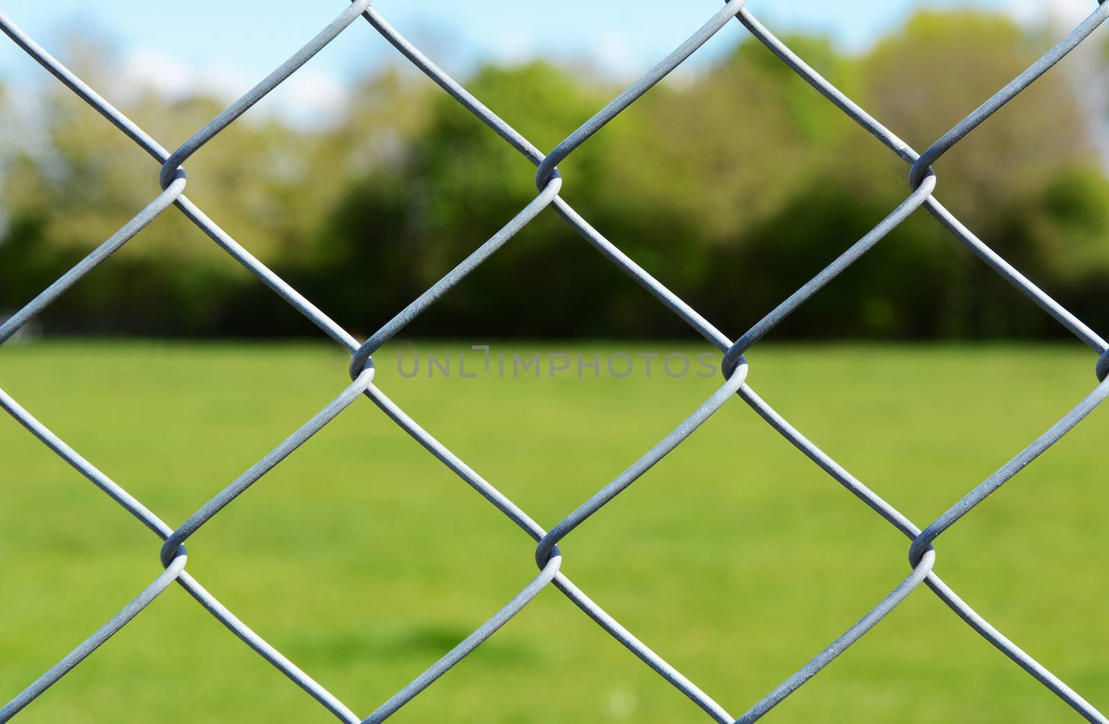 Metal chain link fencing in selective focus. Beyond the secure fence lies an empty green field, lined by trees.