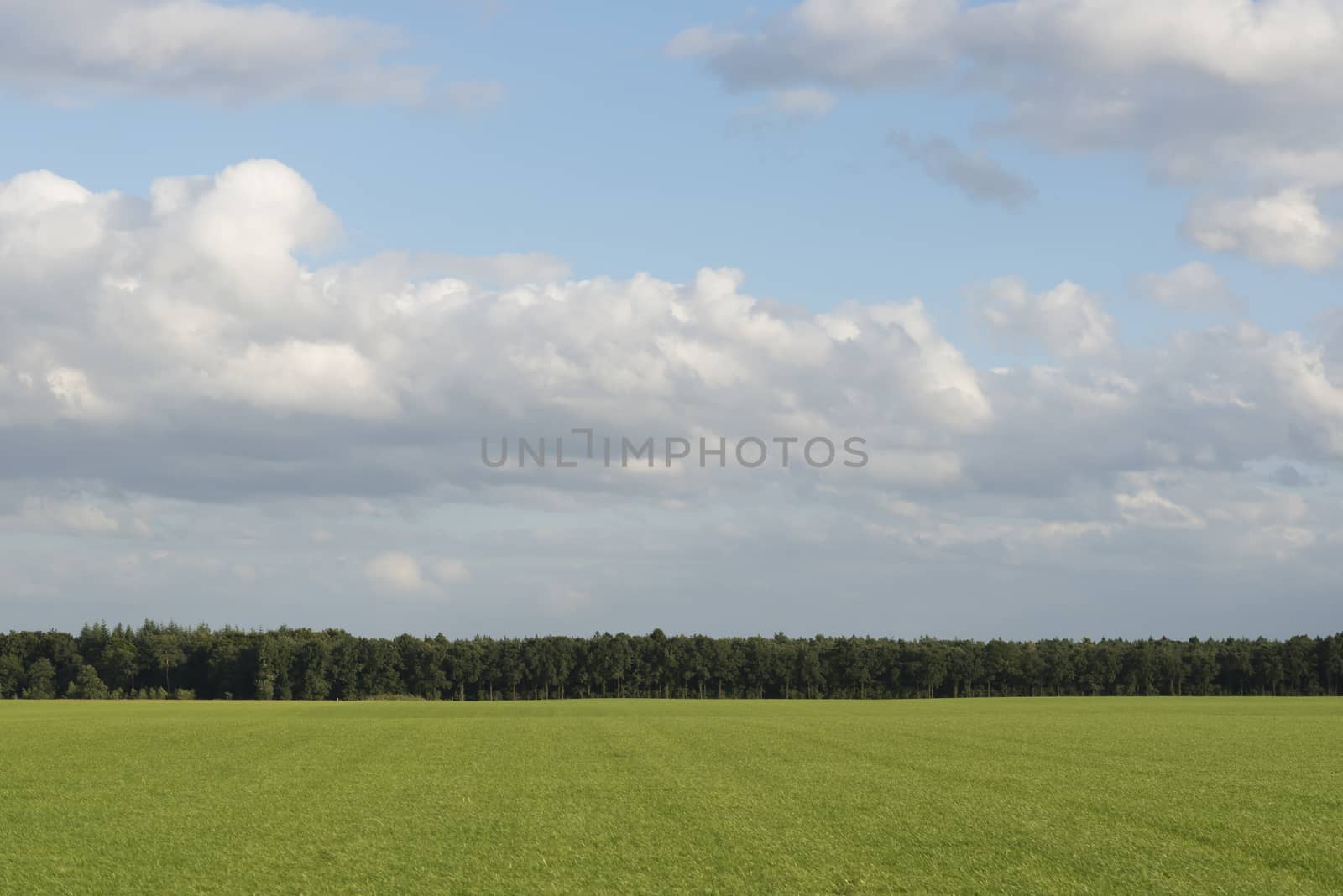 Cloudy sky with grass and forest edge
 by Tofotografie