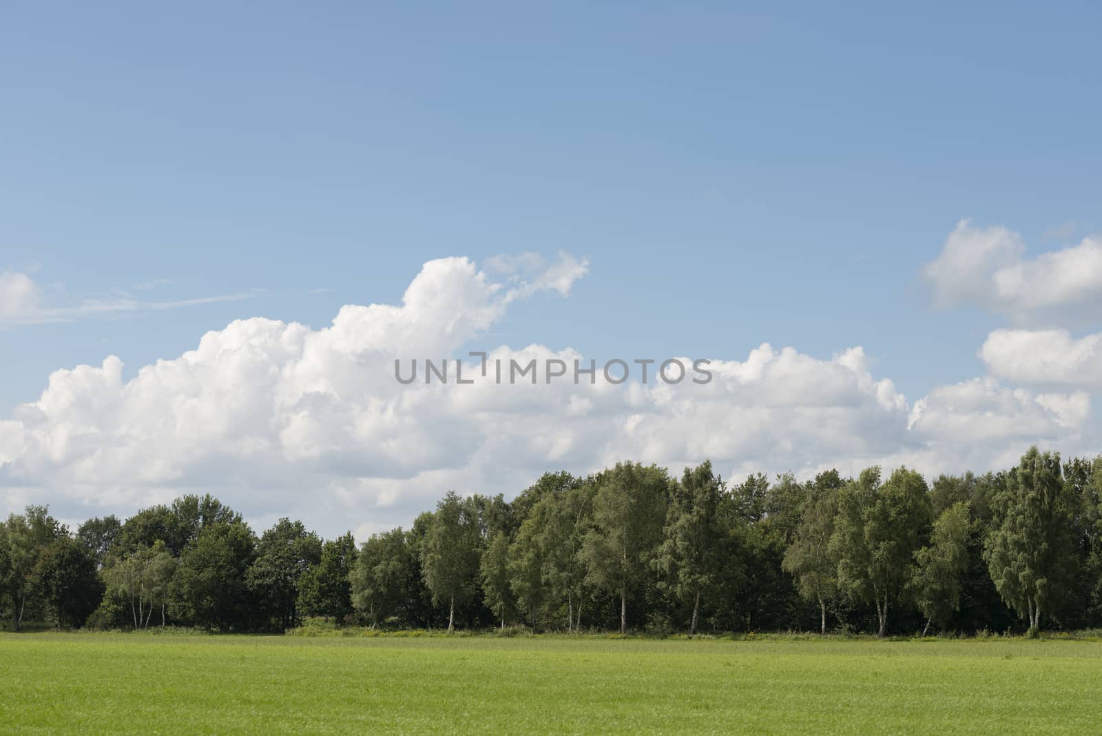 Cloudy skies above extensive lawns with a forest in the Netherlands as a background picture
