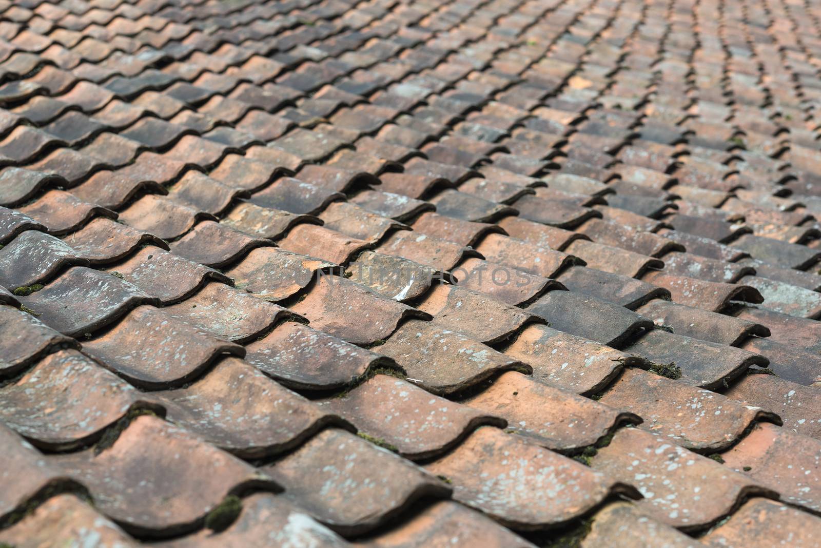 Old roof tiles on a farm
 by Tofotografie