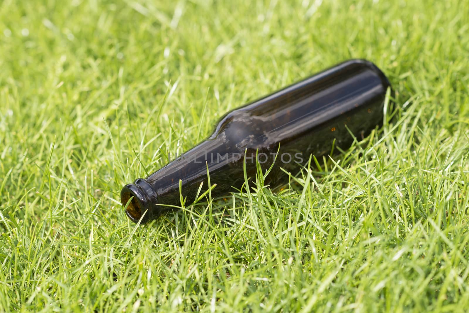 Empty beer bottle in a grass field with a vague background
