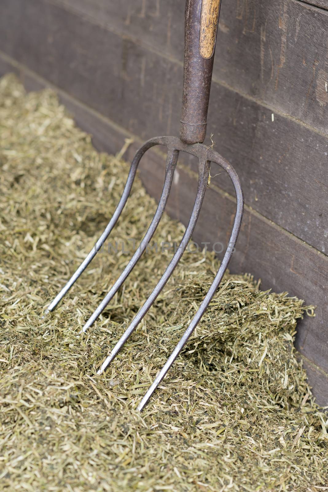 Traditional manure fork on a bale of cattle feed by Tofotografie