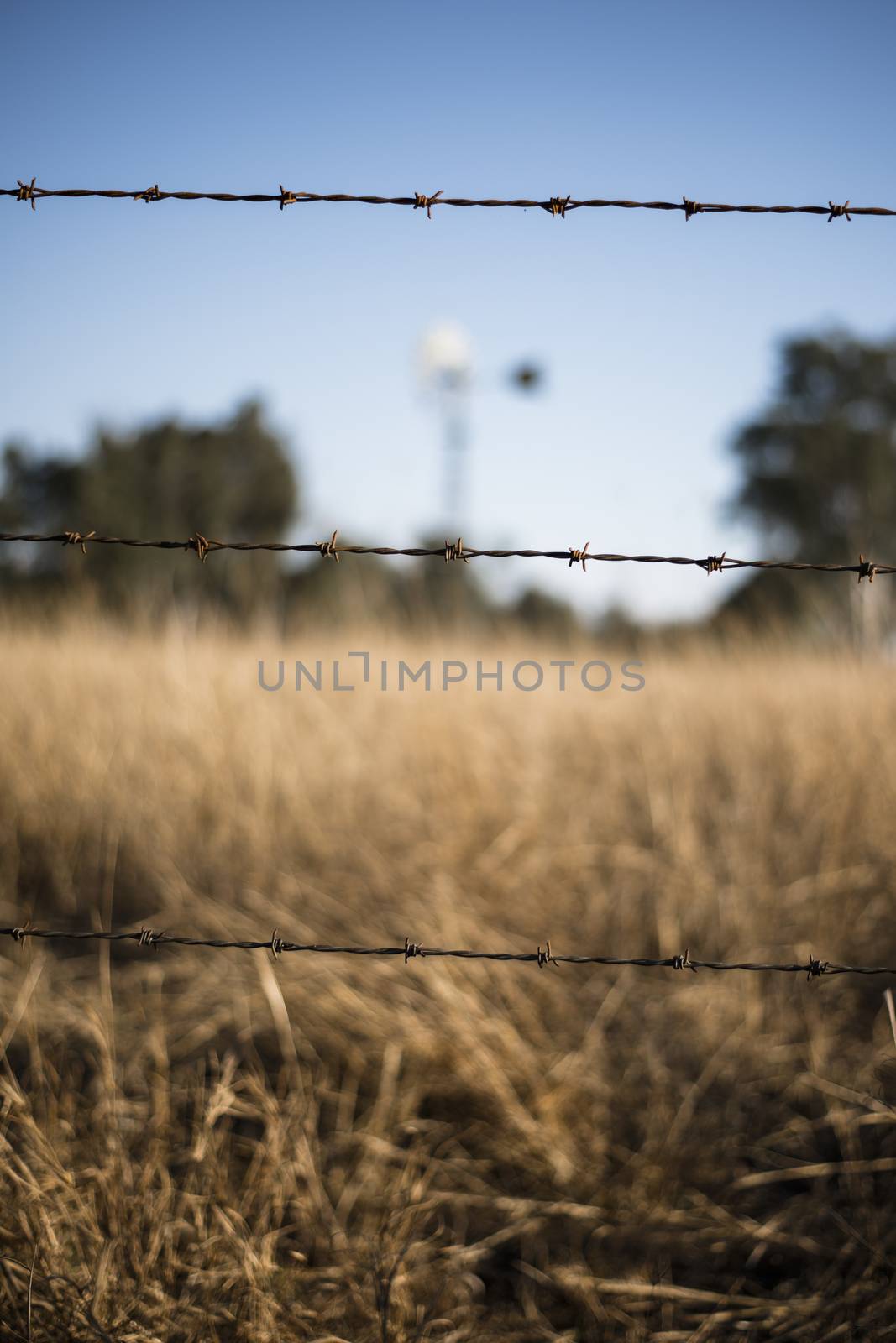 Rusted sharp timber and metal barb wire fence. by artistrobd