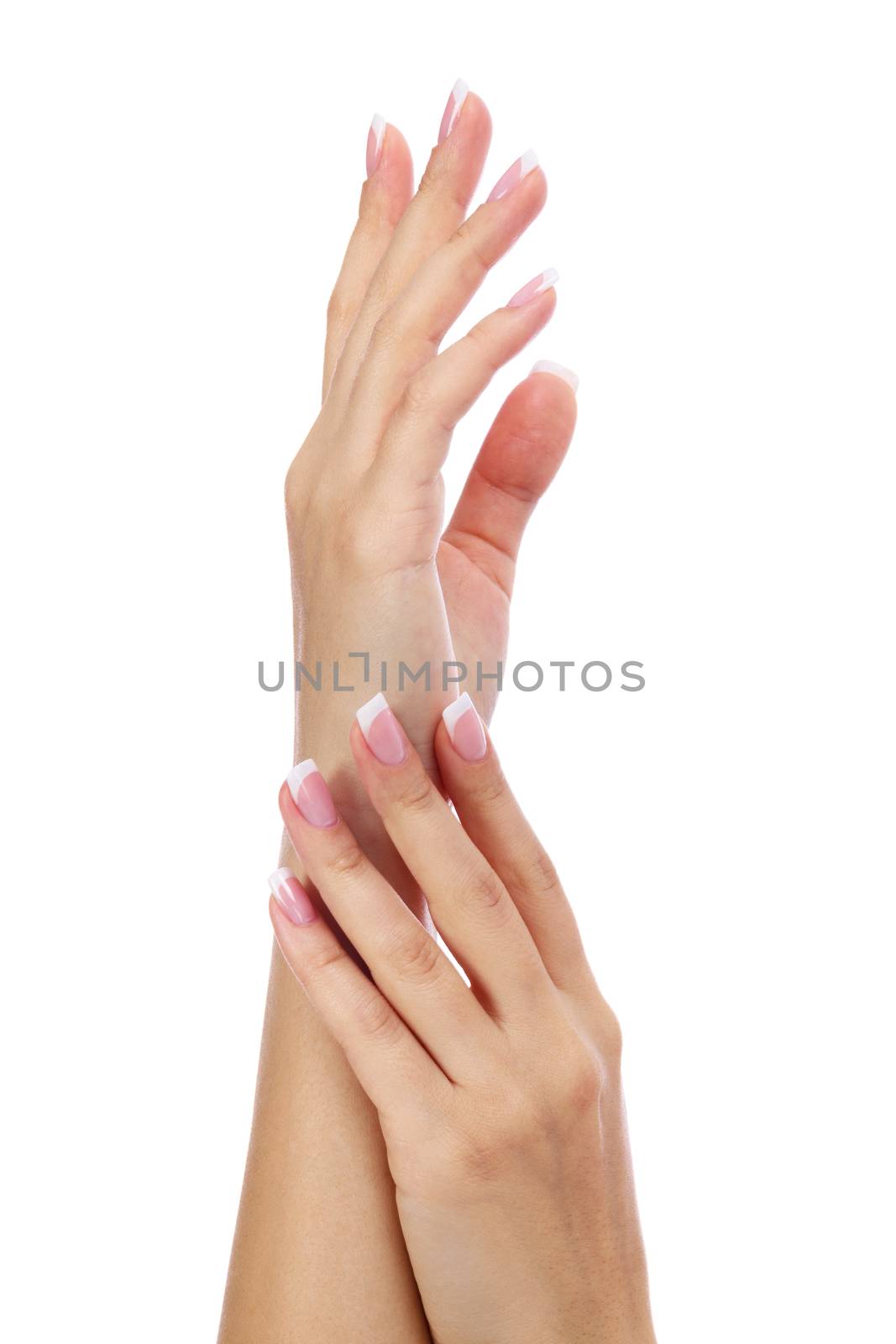 Closeup shot of woman's hands with french manicure and clean and soft skin over a white background, isolated