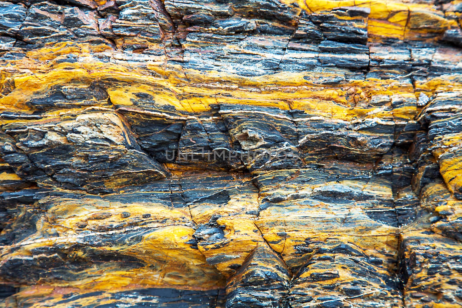 Rock formation on the coast in New South Wales Australia