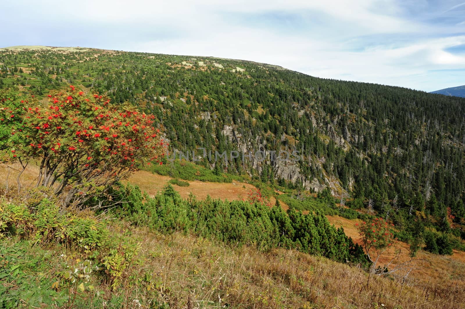 View of the rocky landscape of the Krkonose