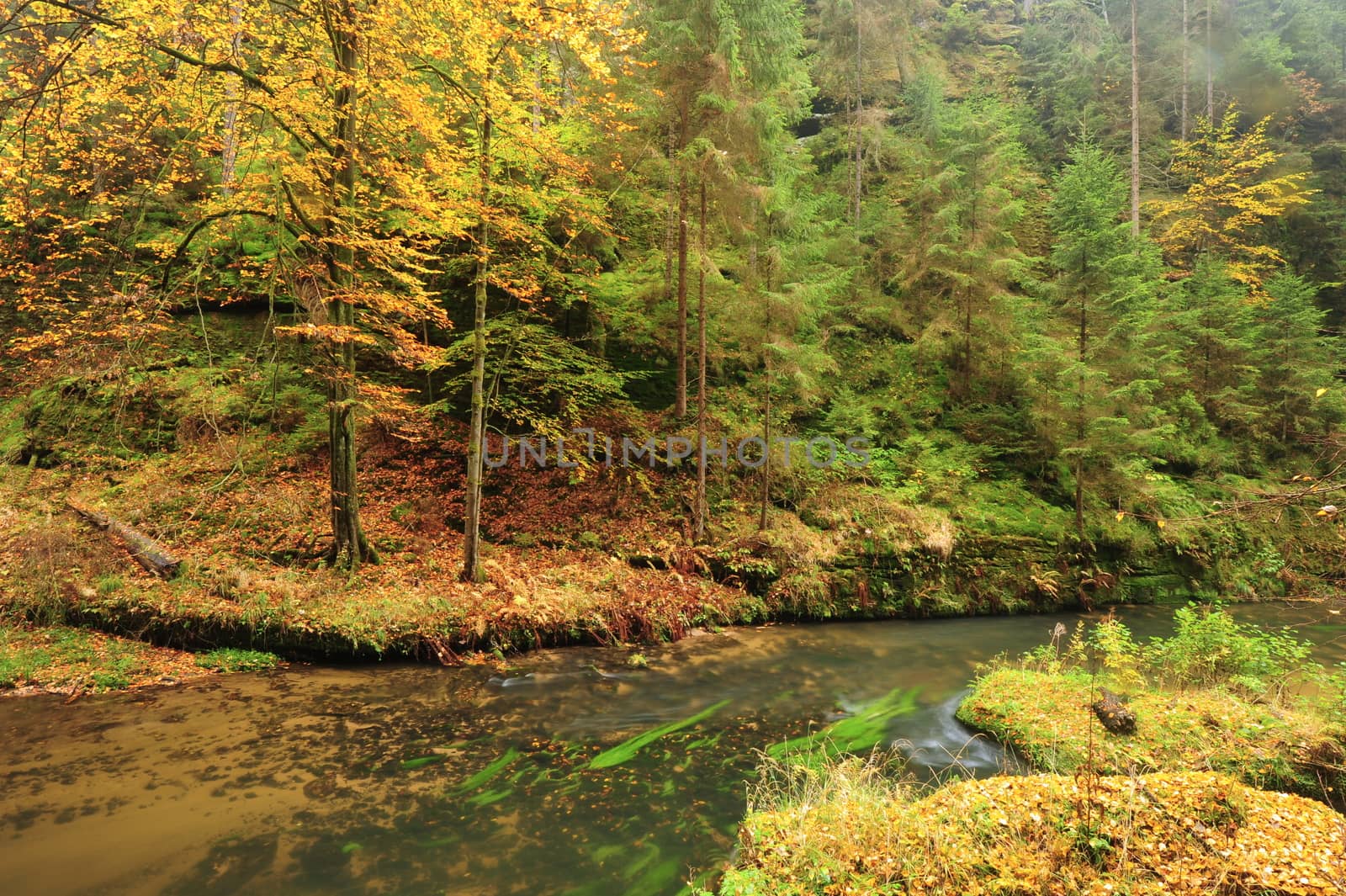 Autumn colored trees, leaves, rocks around the beautiful river