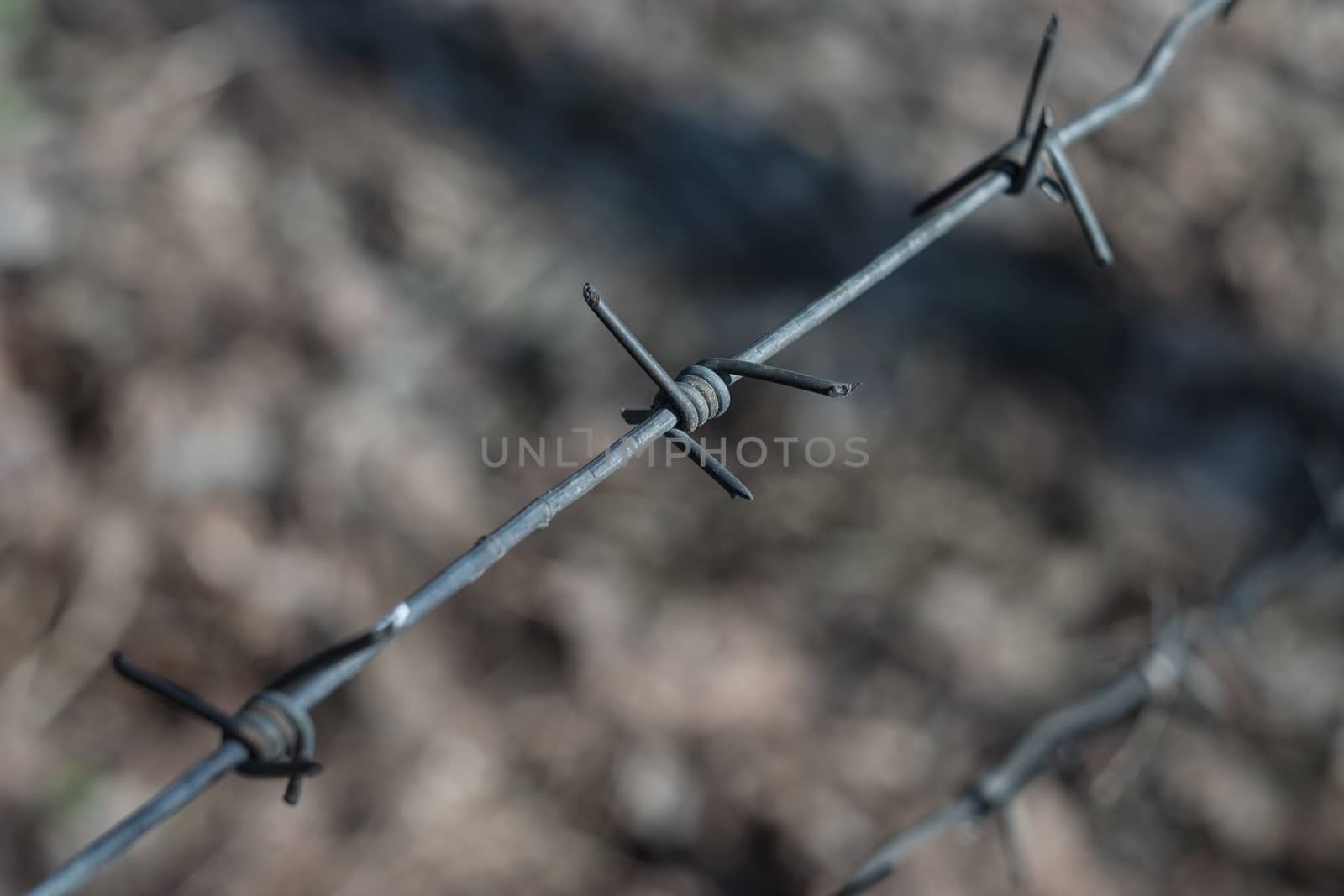 Piece of a barbed wire - small depth of sharpness