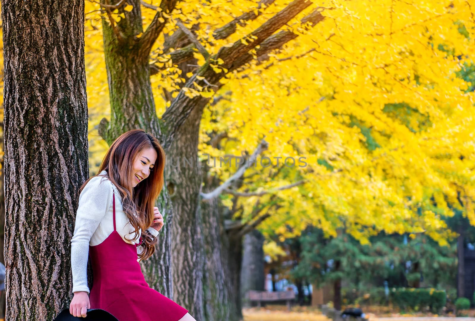 Beautiful Girl with Yellow Leaves in Nami Island, Korea.