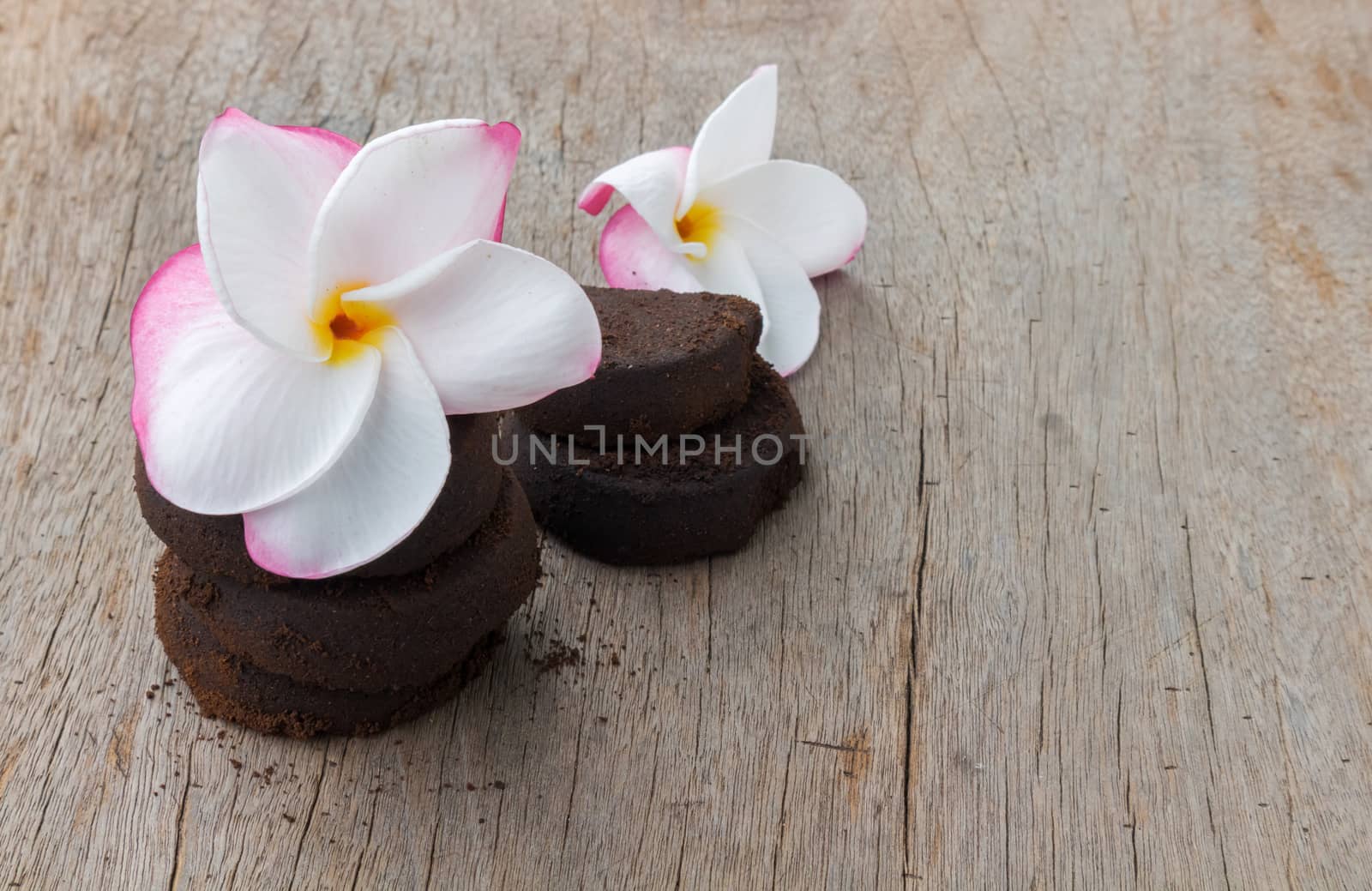 Closeup Plumeria sweet color and coffee ground on old wood background, skin care beauty and spa relax concept