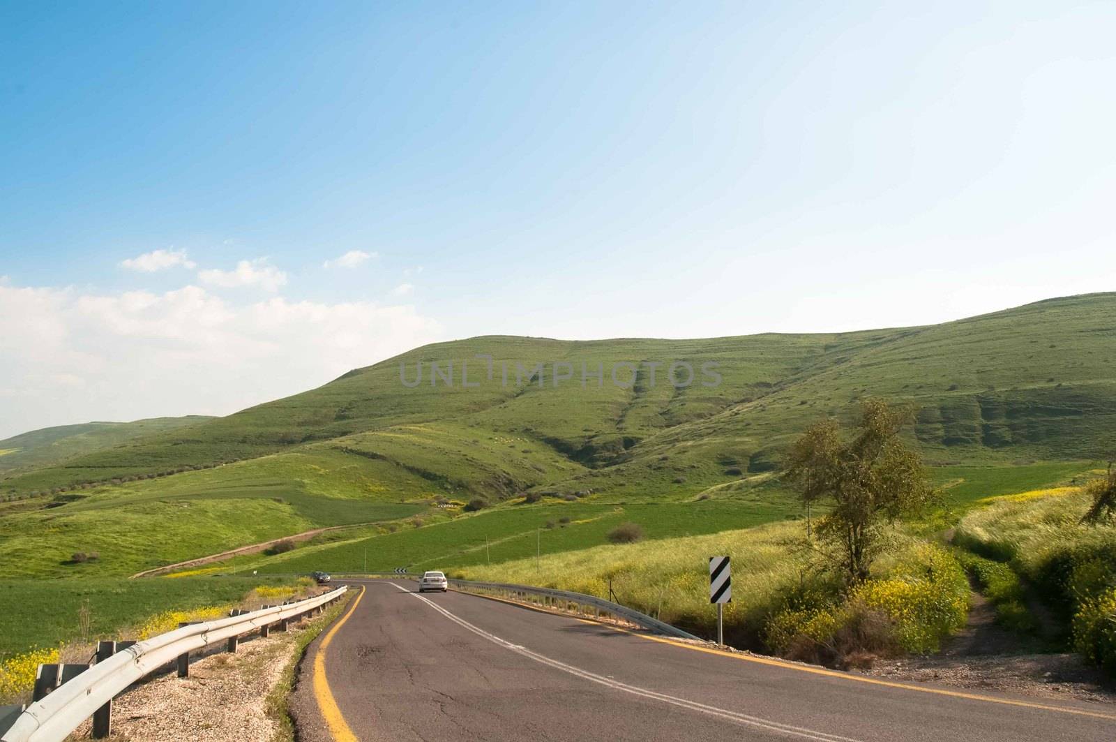 Road in the southern part of the Golan , Northern Israel by LarisaP