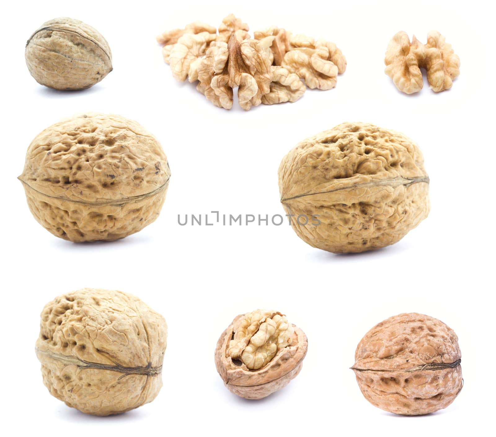 Walnuts isolated on white background.