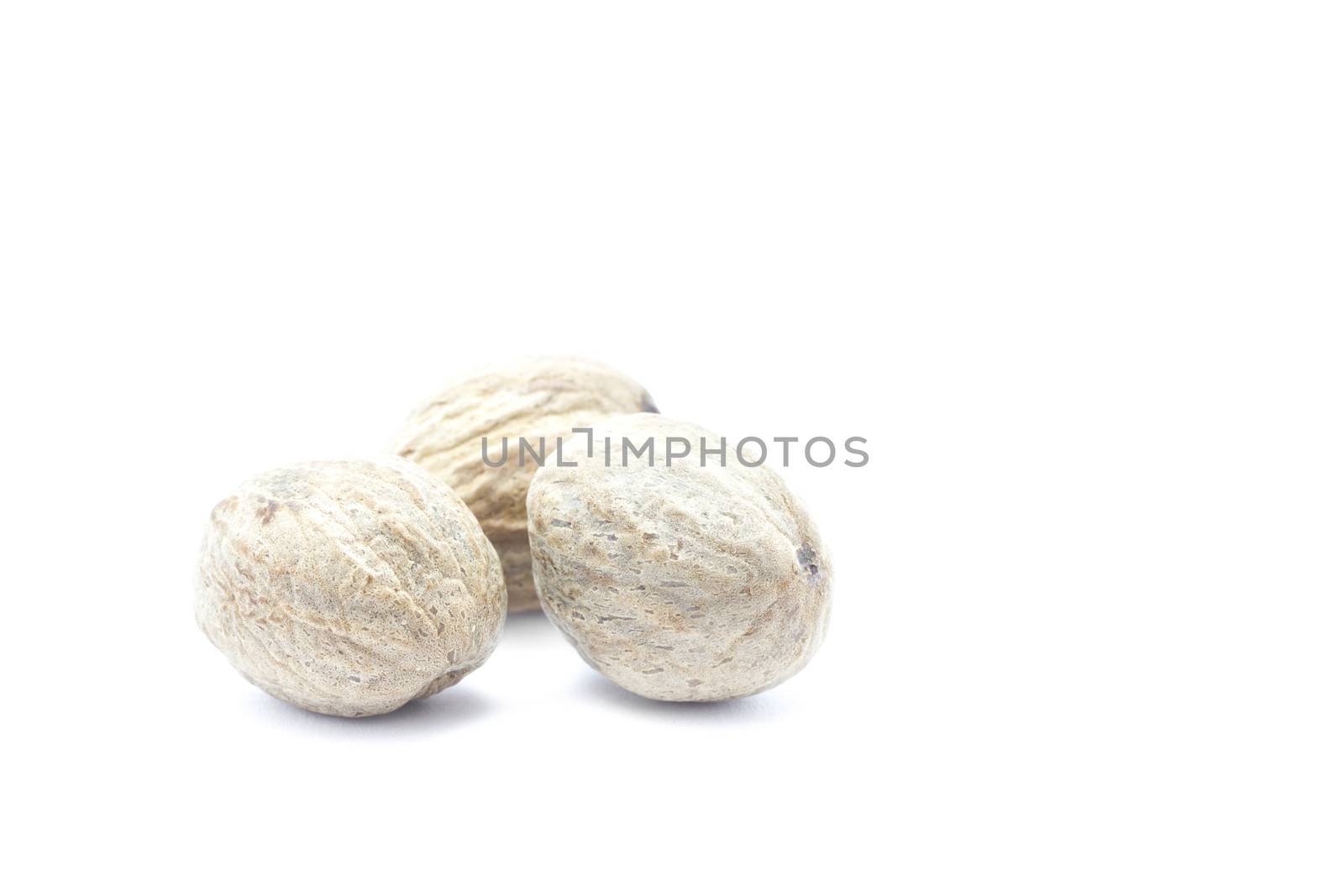 Nutmeg isolated on white background close-up.