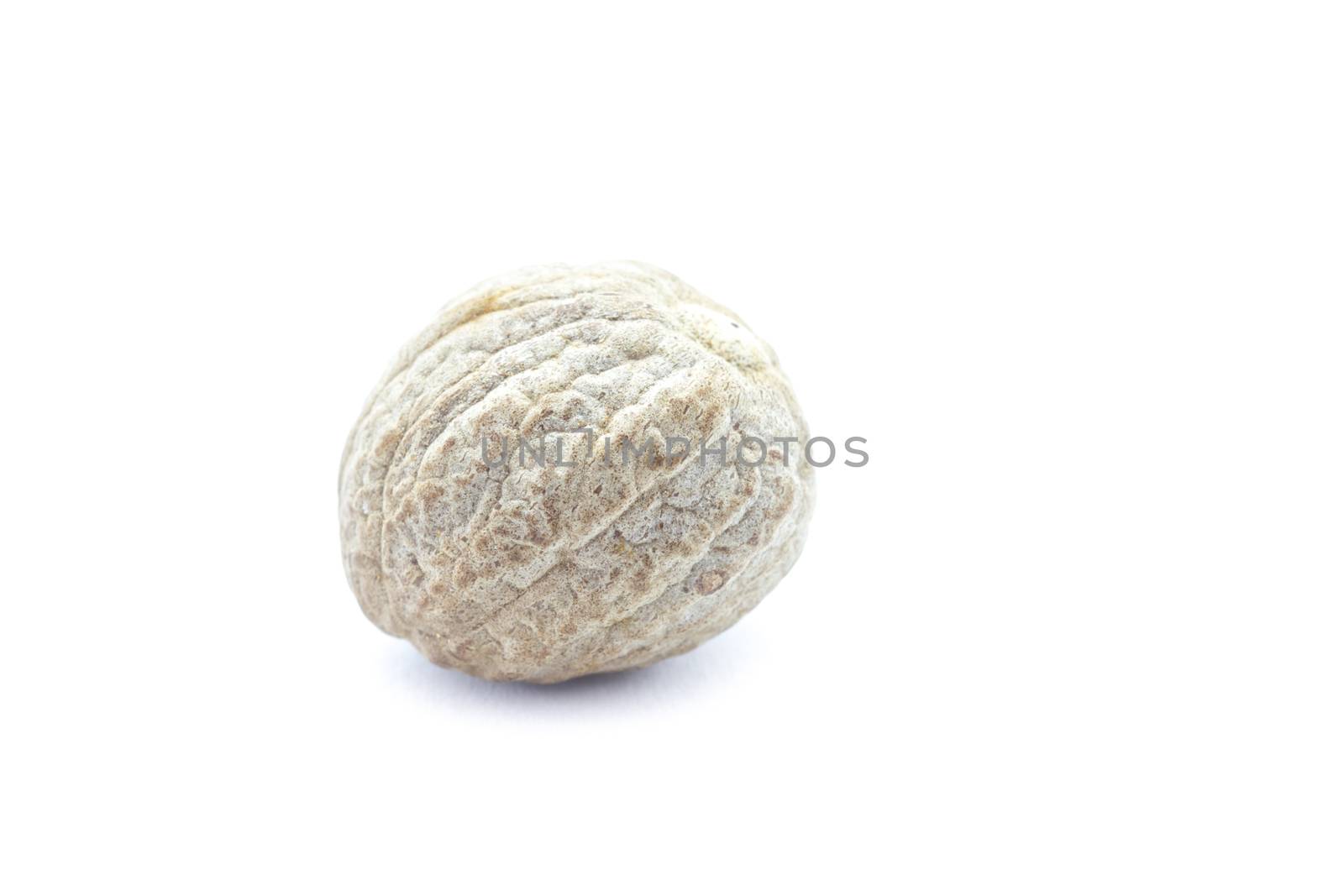 Nutmeg isolated on white background close-up.