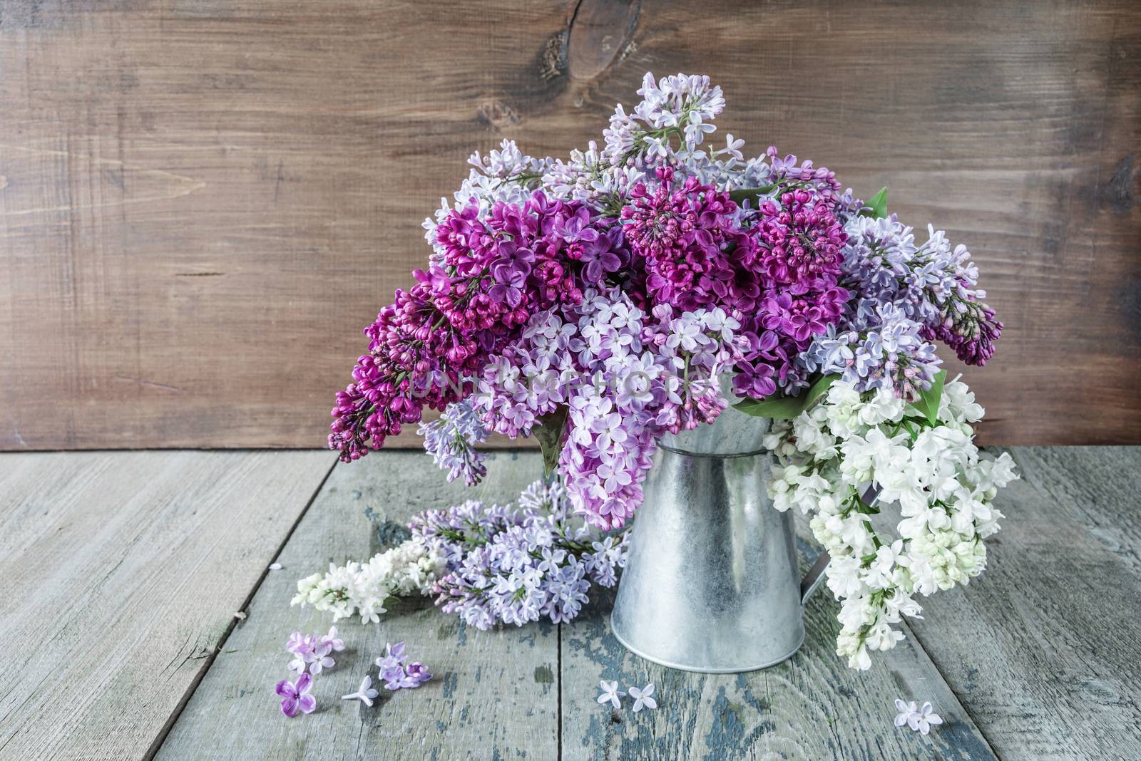 Lush wet multicolored bouquet of lilac flowers in a metal pitcher on an old wooden background