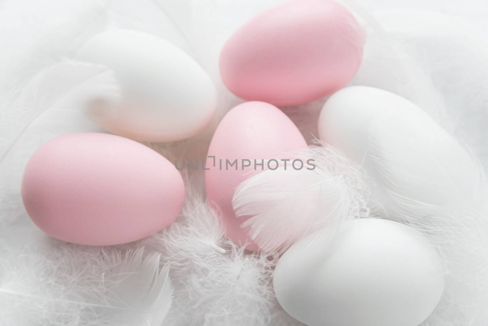 Easter concept: pink and white easter eggs among fluffy fuzzes
