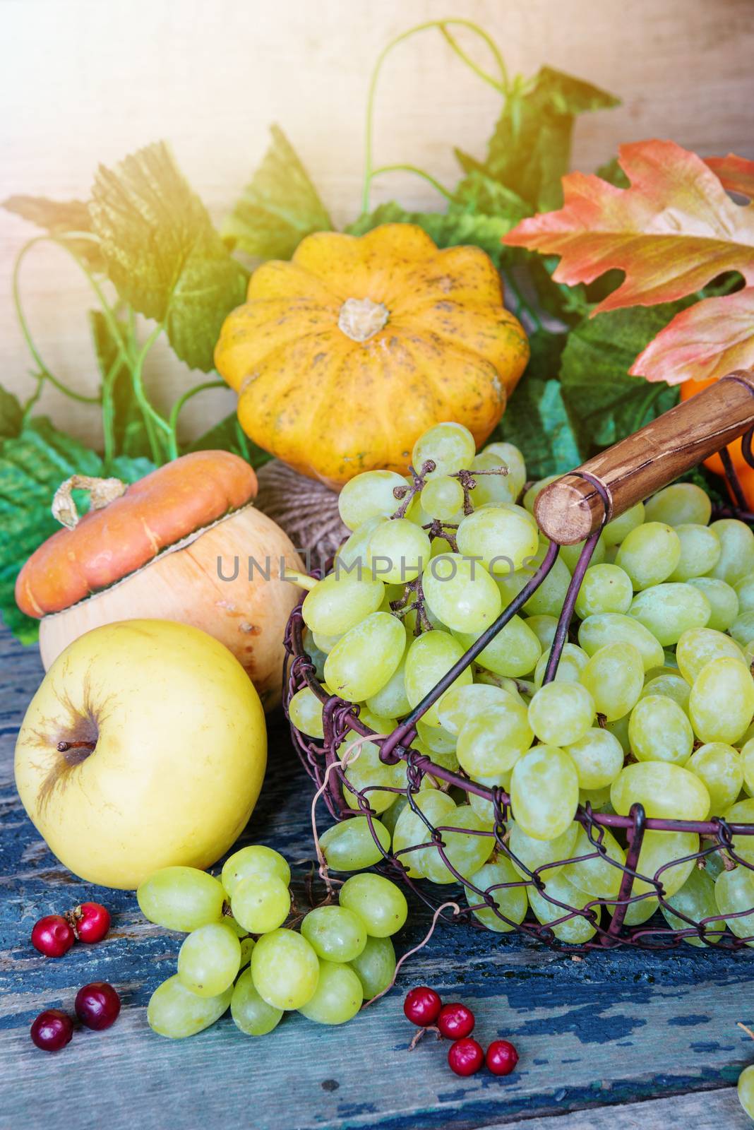 Rich harvest of various fruits and vegetables by Epitavi