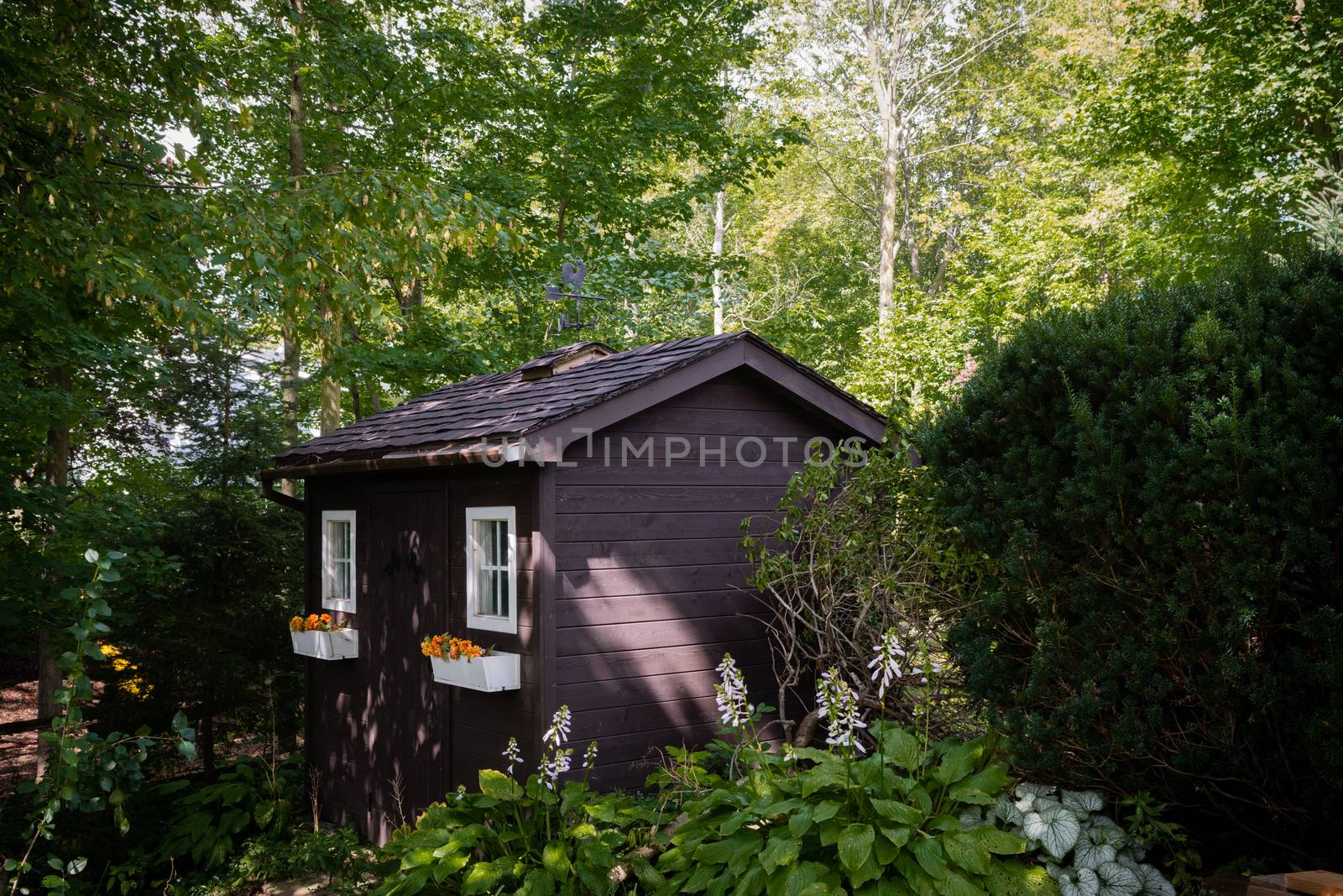 A small house, like a house for gnomes, stands in the forest