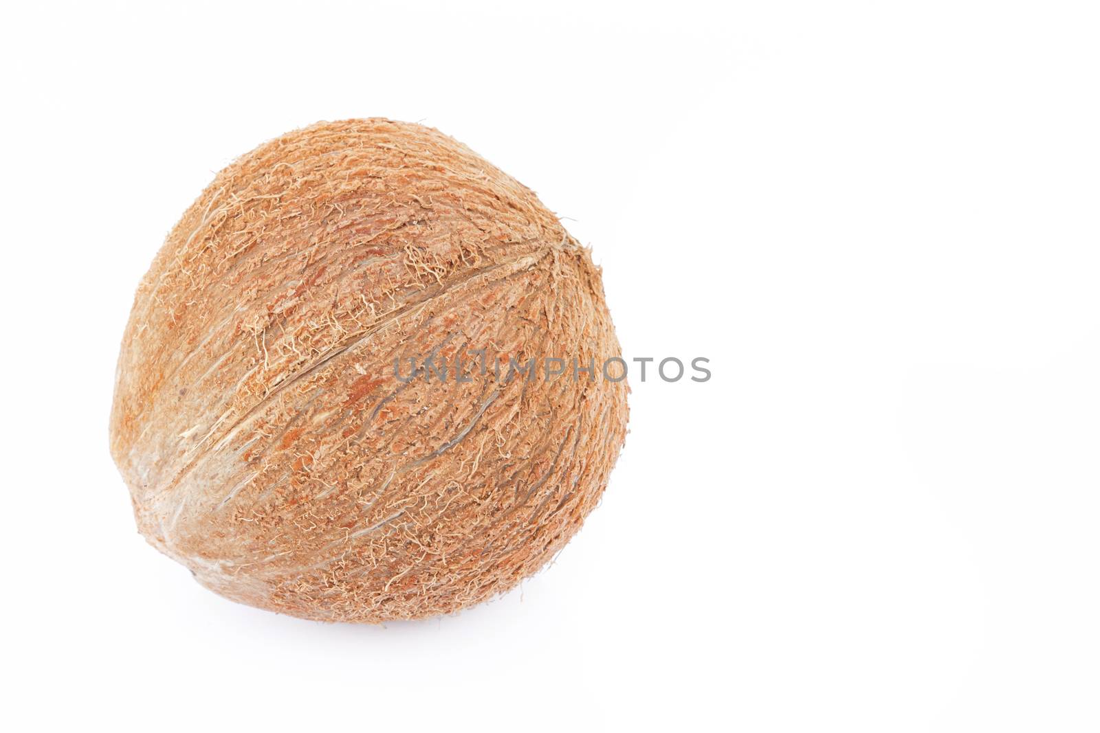 Closeup brown coconut shell on a white background, raw material for milk and coconut oil