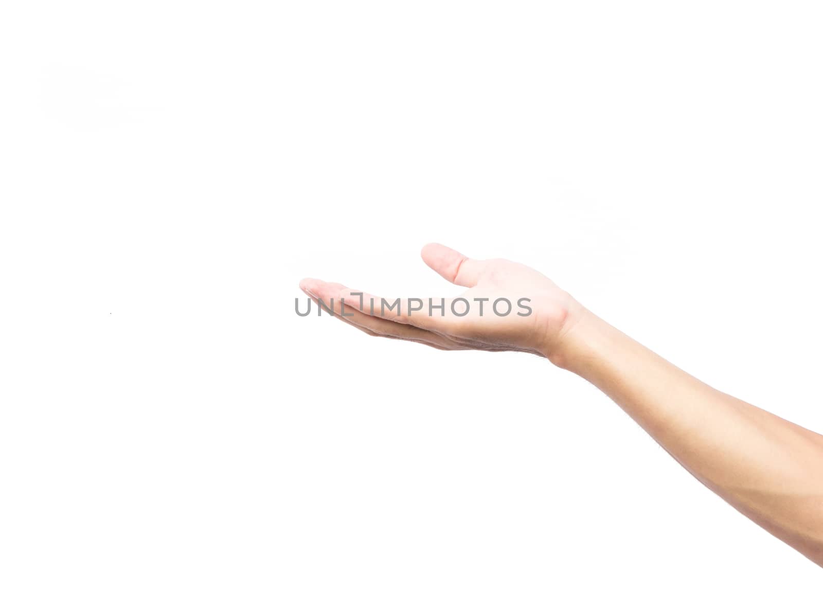Man hands praying on white background, religion concept