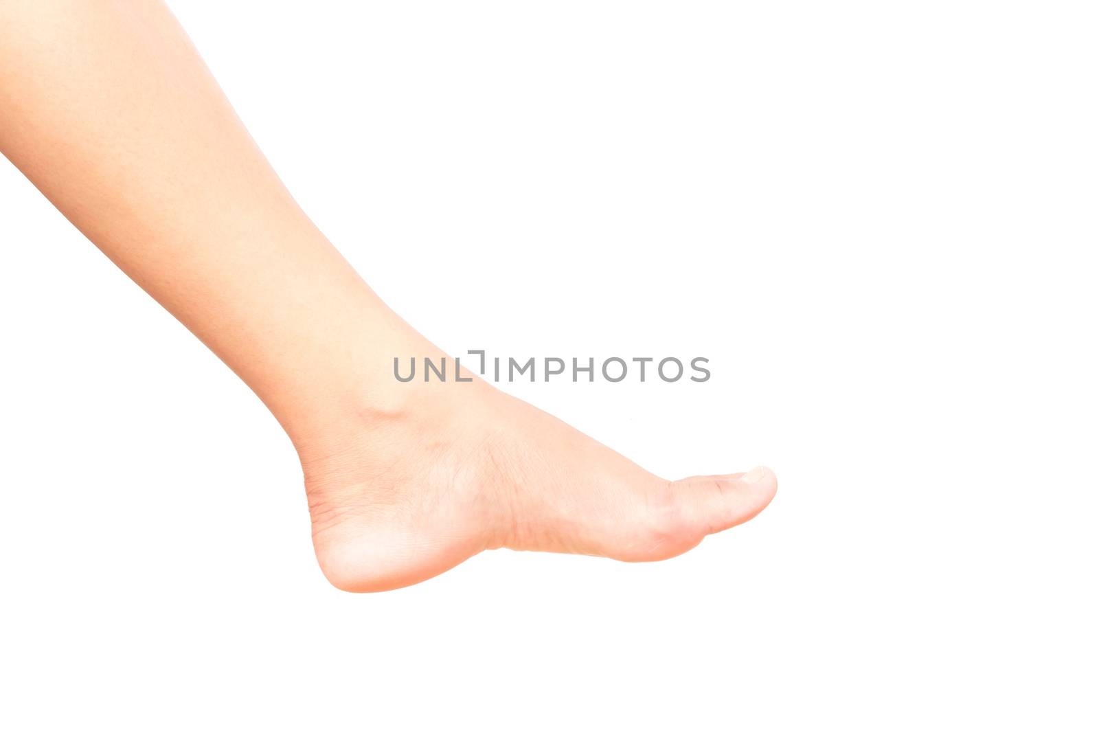 Legs woman on white background for skin care and body beauty product concept