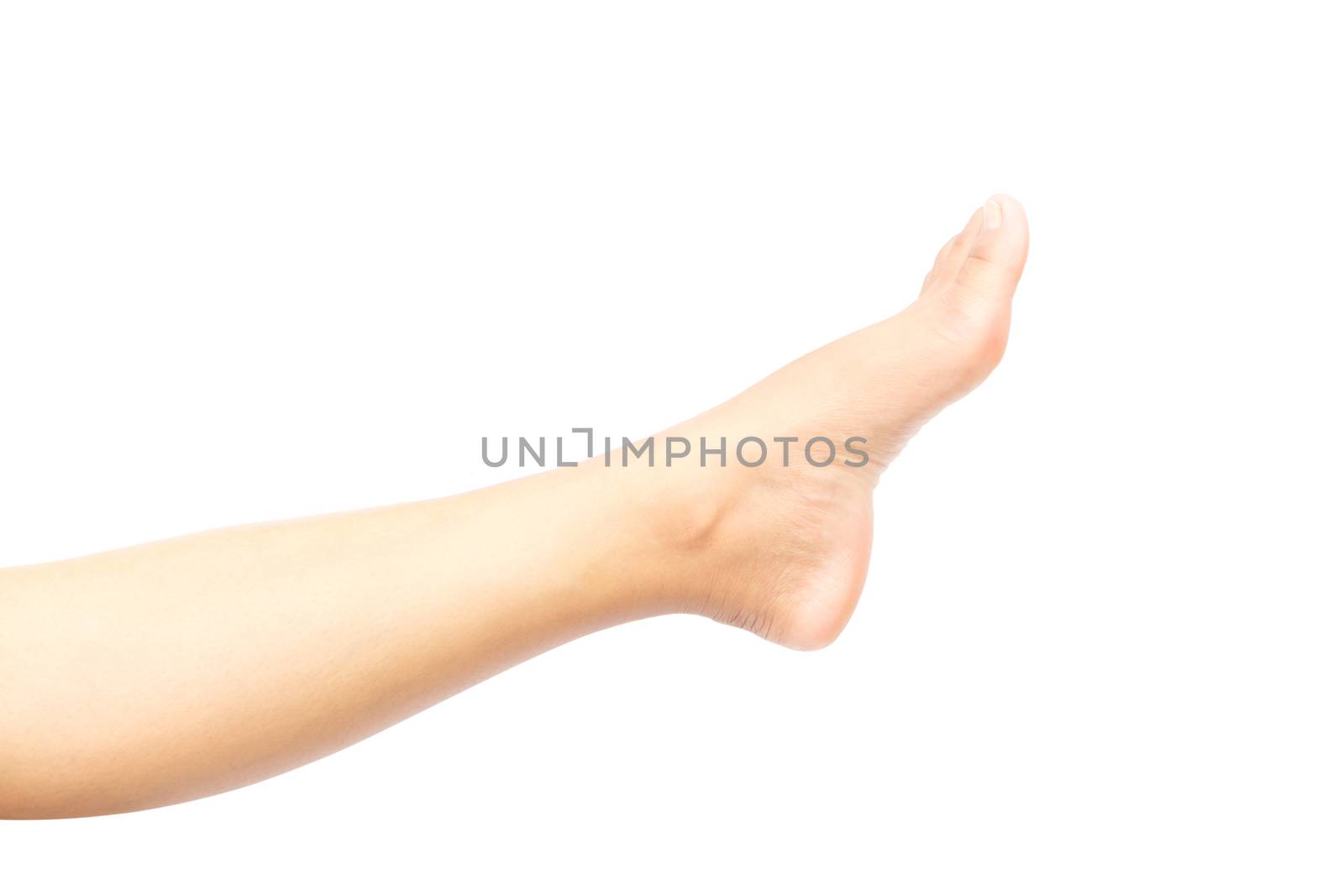 Legs woman on white background for skin care and body beauty product concept