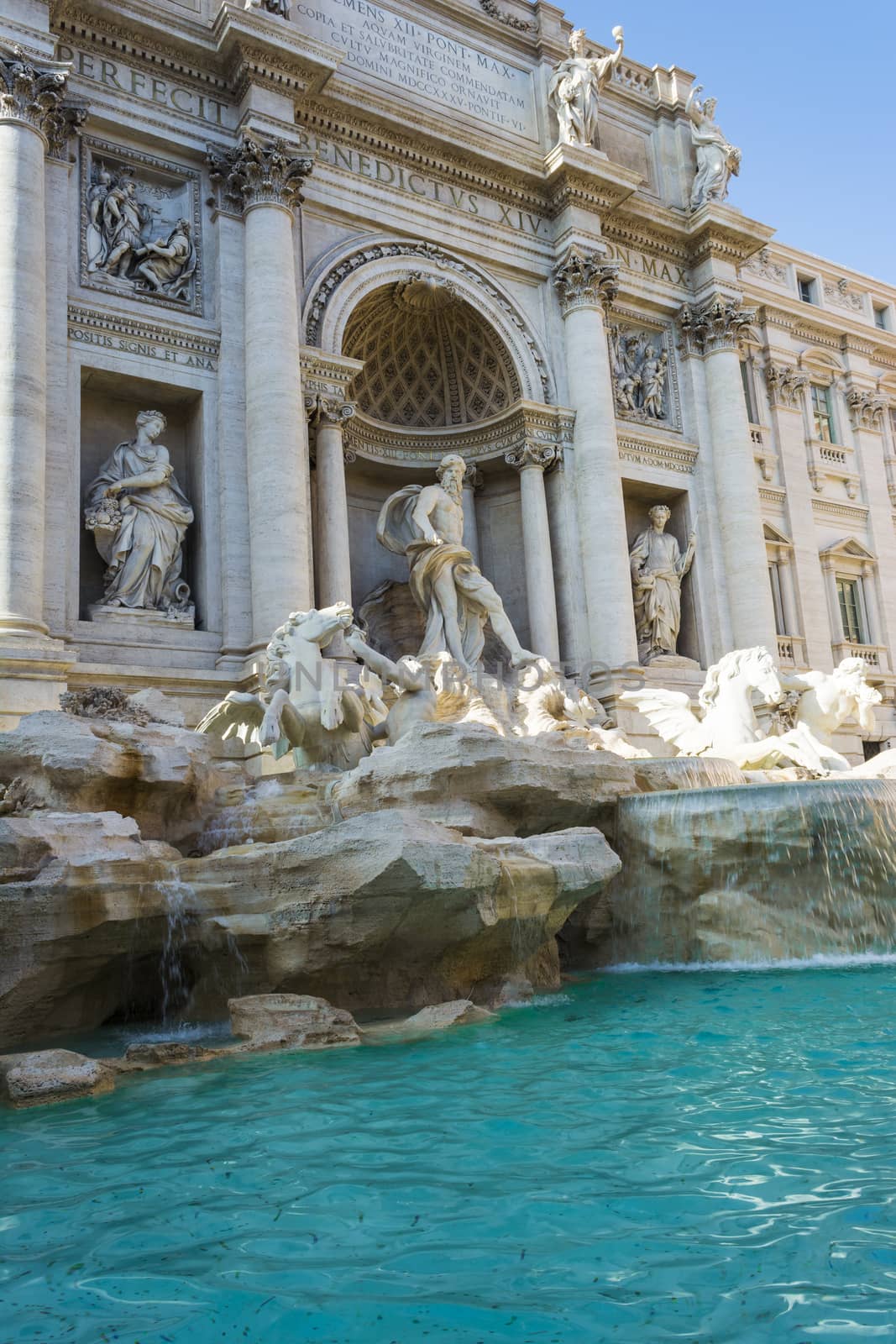 Fontana di Trevi - Trevi Fountain, Rome, Italy by ankarb