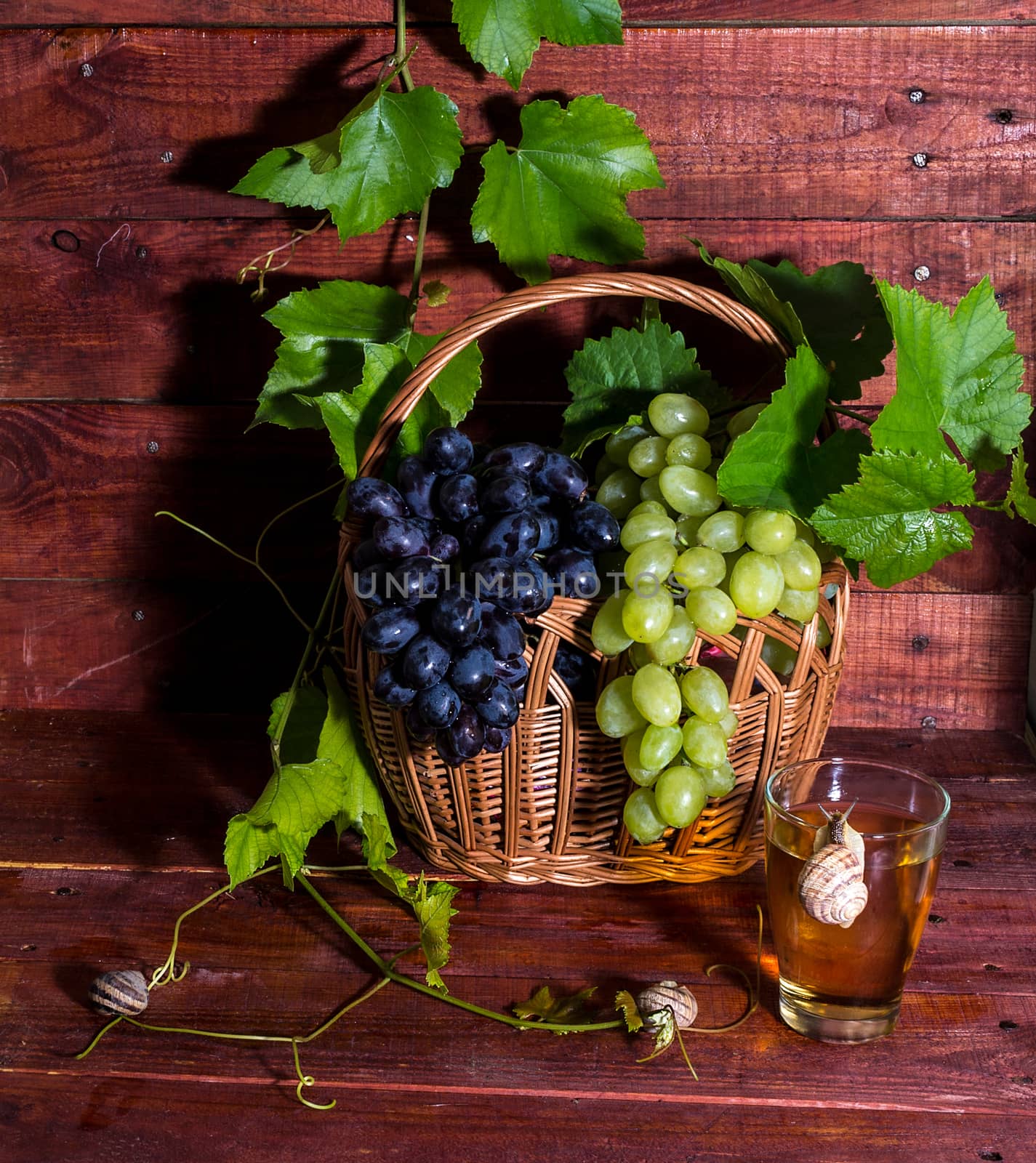 grape juice in a glass on a table with grapes and vine