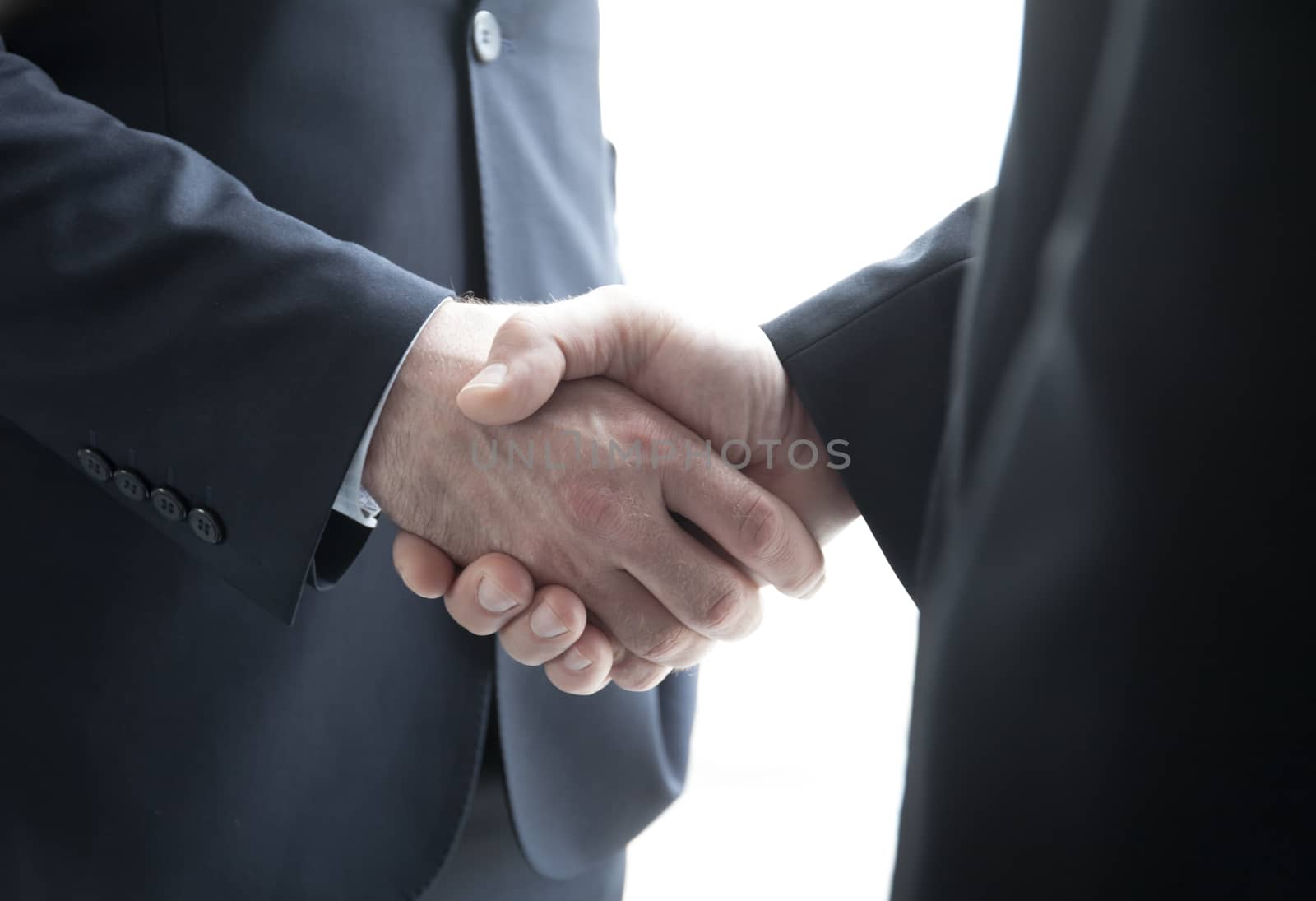 Two businessmen shaking hands standing by windows in office