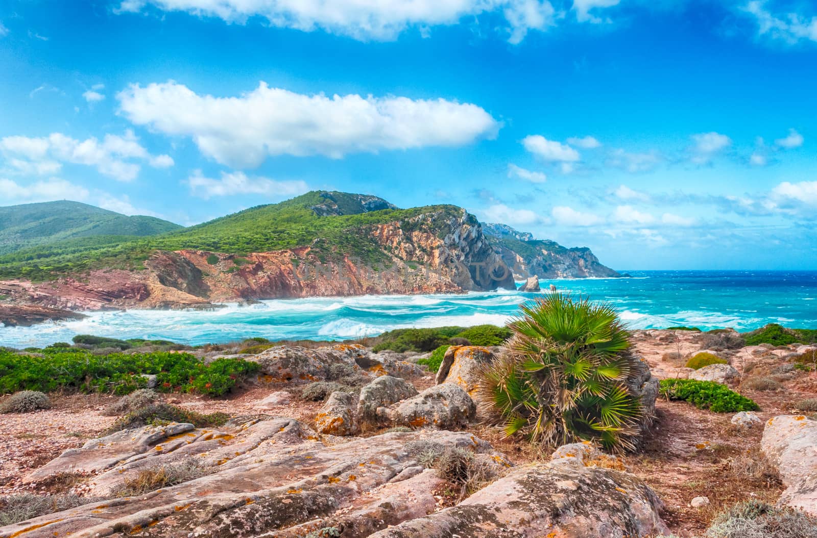 Landscape of the coast of porticciolo in a windy day by replica