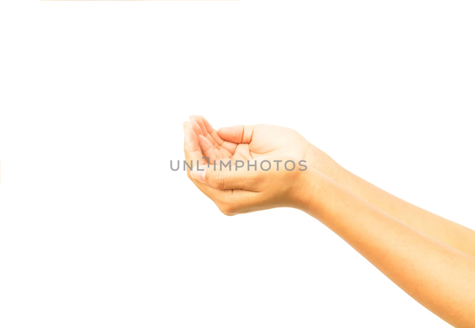 Woman hands praying on white background, religion concept
