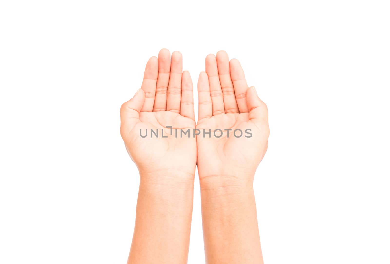 Woman hands praying on white background, religion concept