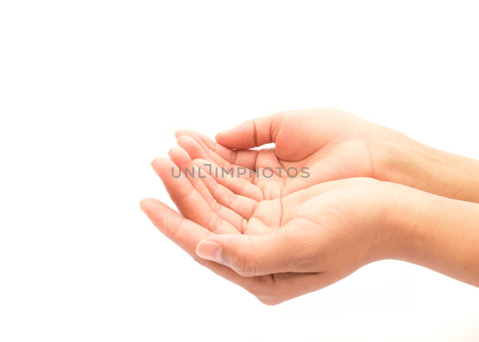 Woman hands praying on white background, religion concept