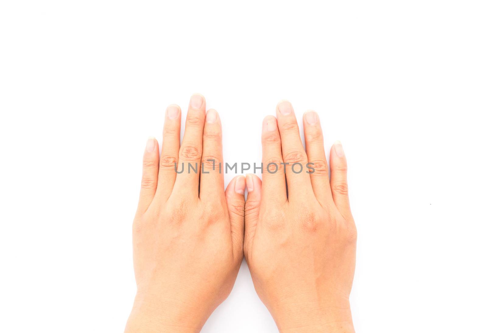 Woman hands praying on white background, religion concept
