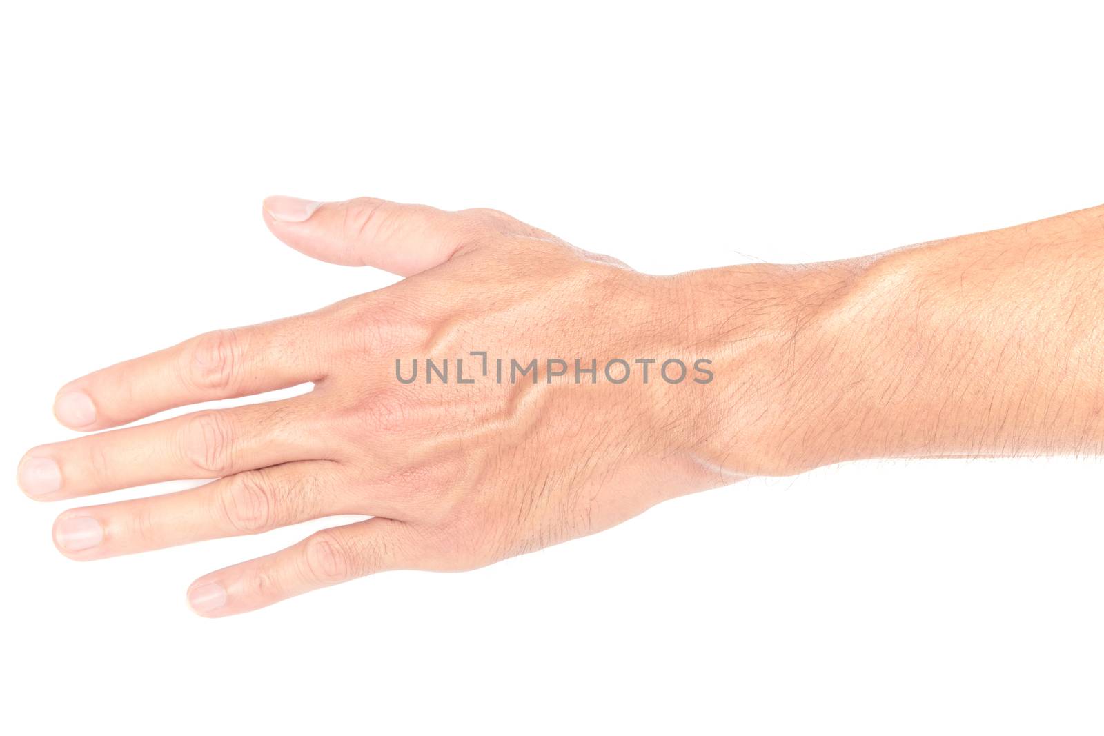 Man back hand with blood veins on white background, Health care and medical concept