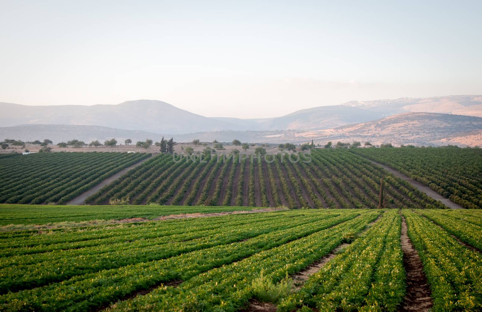 Galilee mountains agricultural valley settlement, Golan , North of Israel .