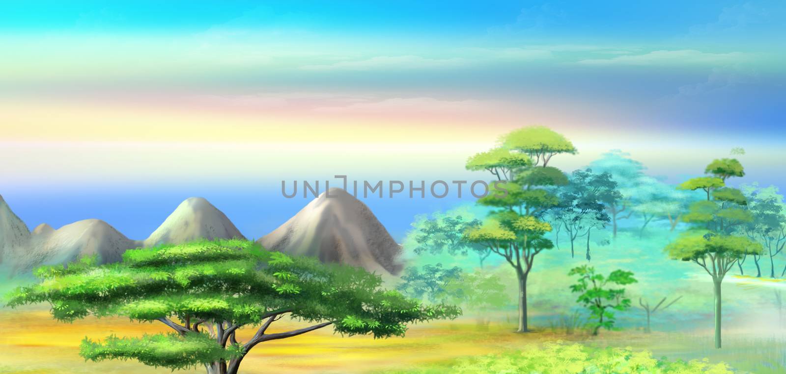 Landscape with Acacia Tree in Mountains at sunrise. by Multipedia