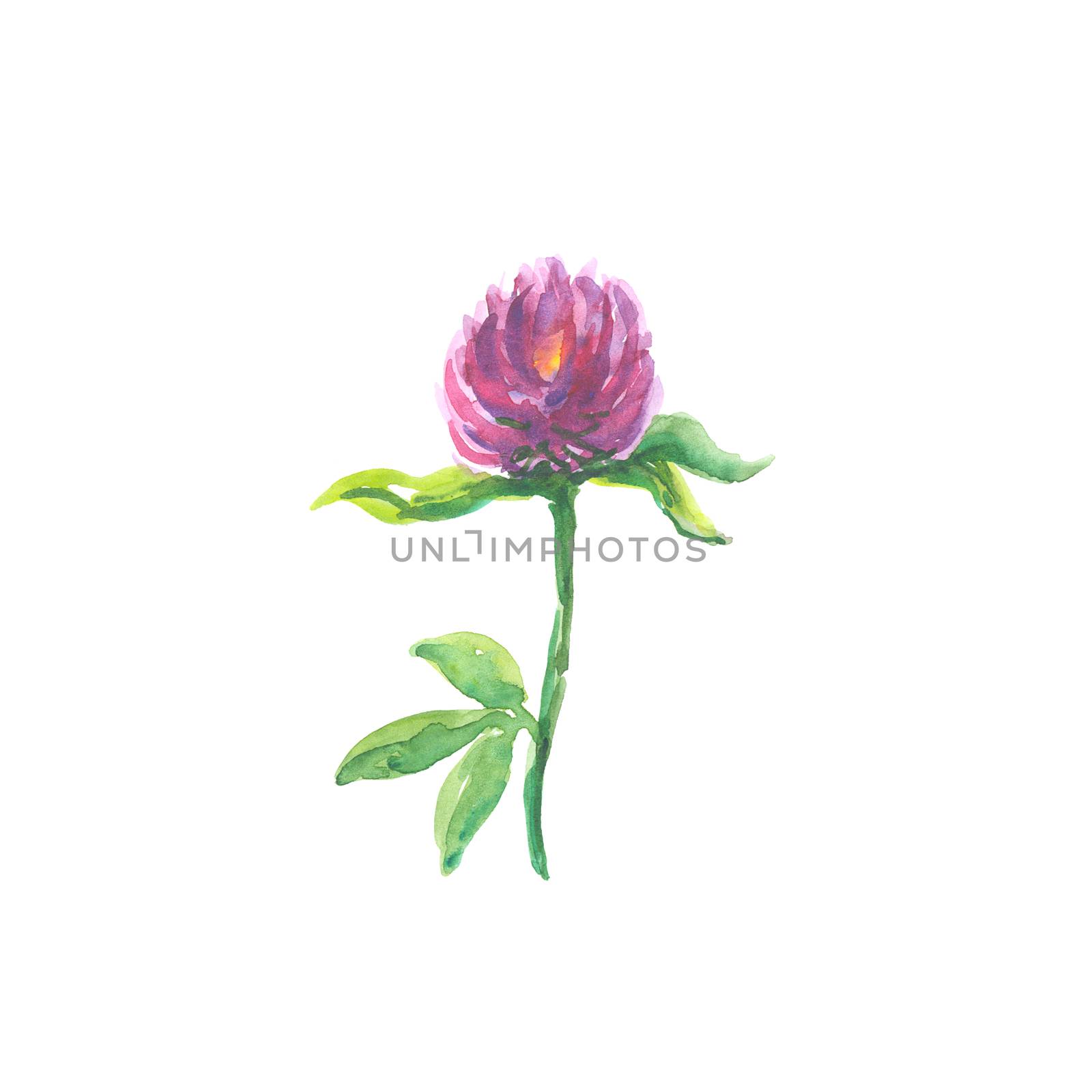 Bright watercolor flower with leaf isolated on easy for cut white background