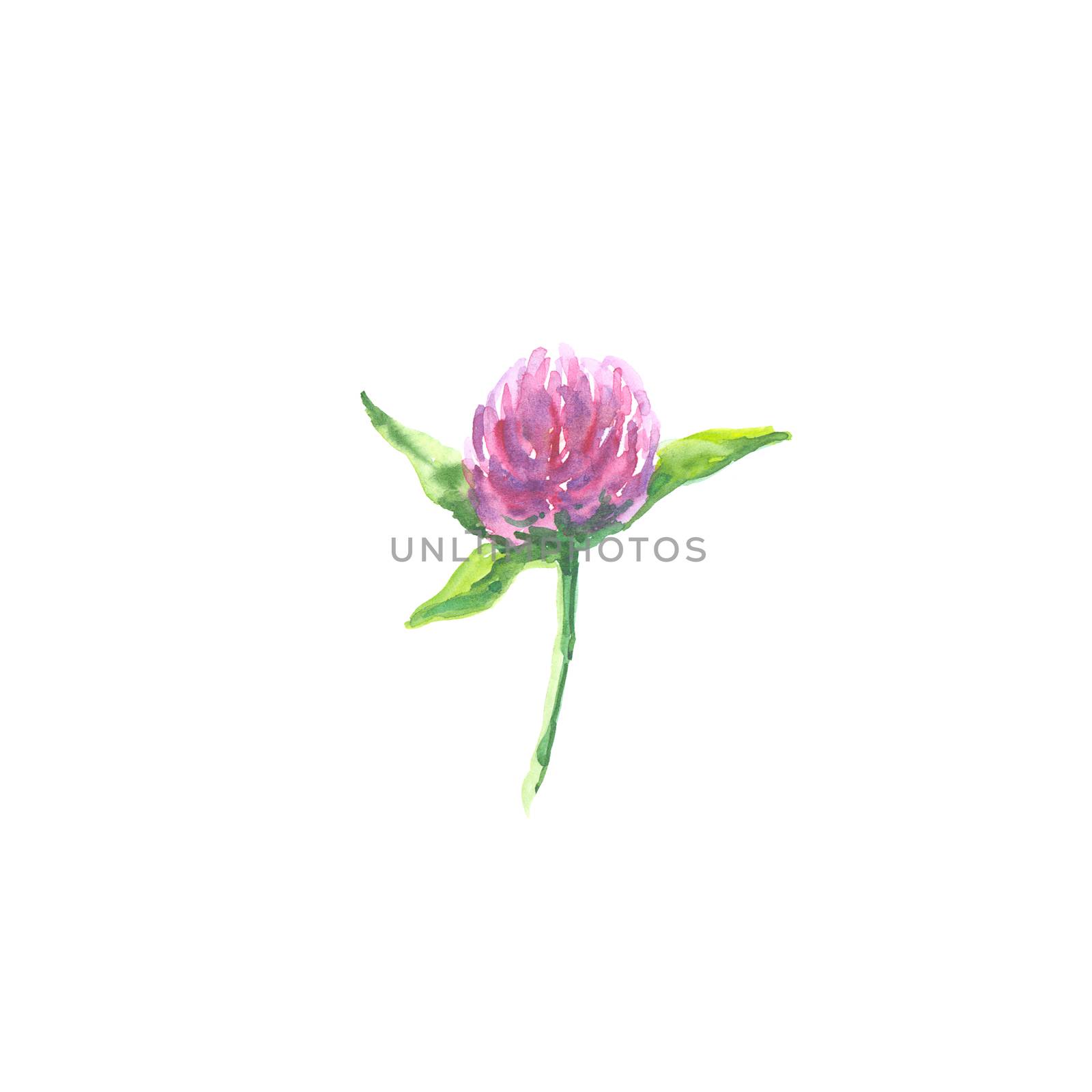 Bright watercolor flower with leaf isolated on easy for cut white background