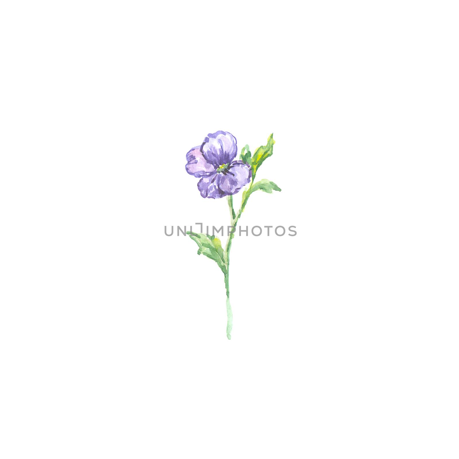 Bright watercolor flower with leaf isolated on easy for cut white background