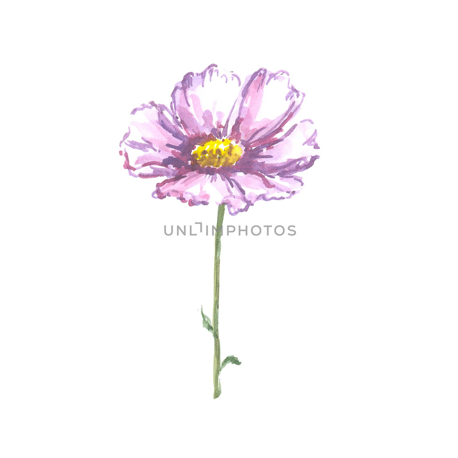 Bright watercolor flower with leaf isolated on easy for cut white background