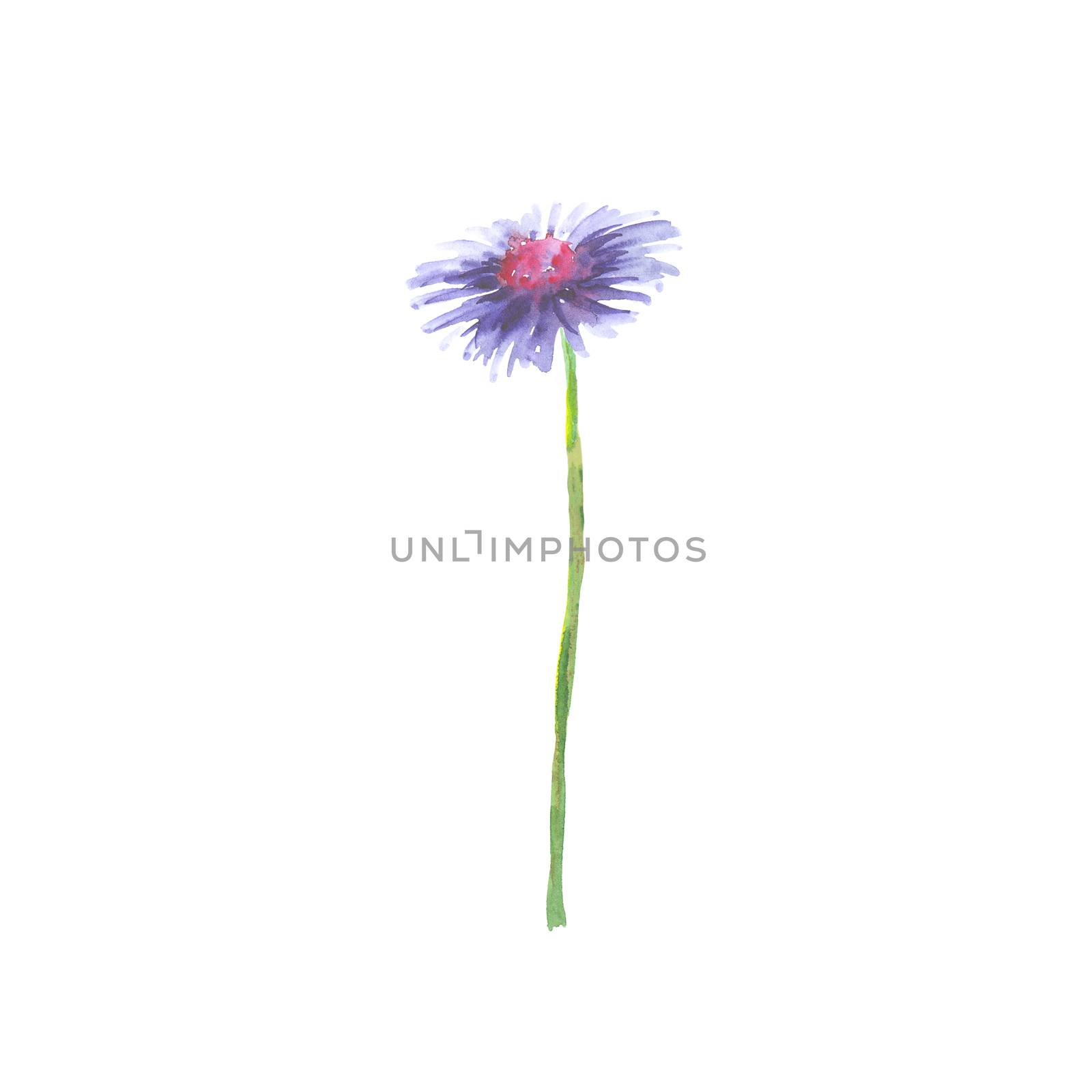 Bright watercolor flower with leaf isolated on easy for cut white background