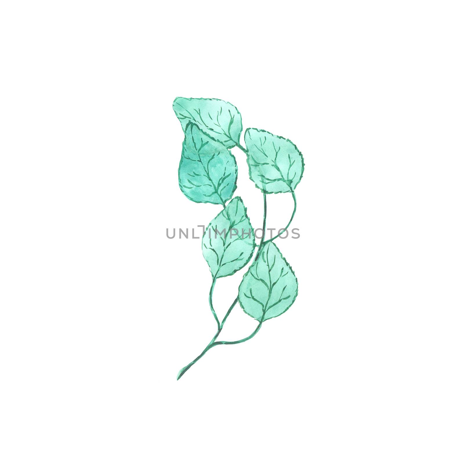 Bright watercolor leaf isolated on easy for cut white background