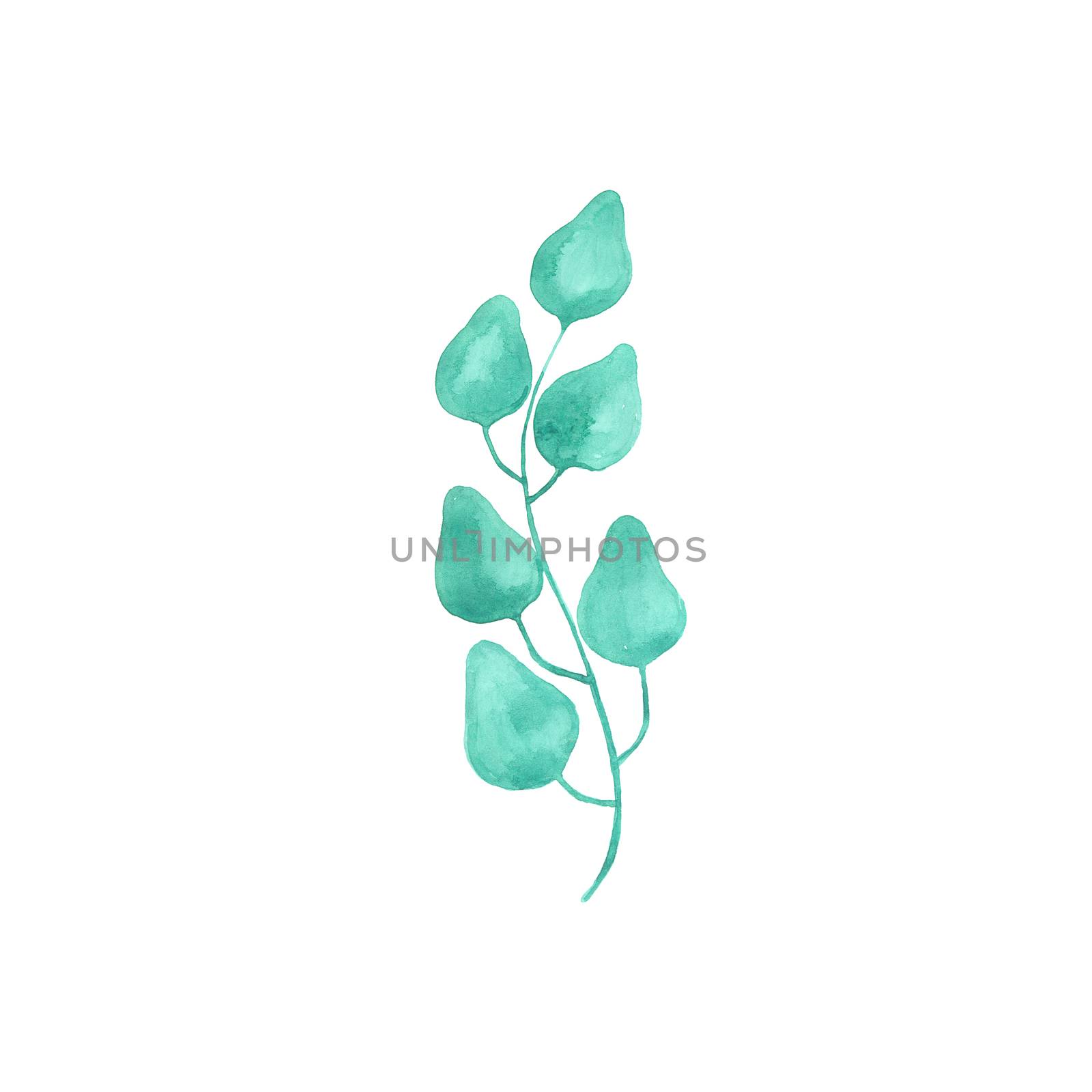Bright watercolor leaf isolated on easy for cut white background