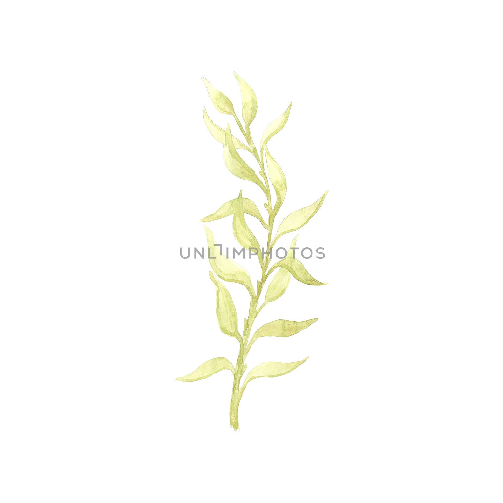 Bright watercolor leaf isolated on easy for cut white background