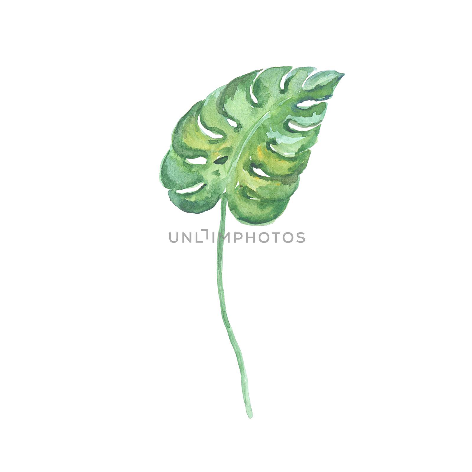 Bright watercolor leaf isolated on easy for cut white background